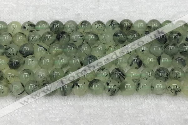 CPR392 15.5 inches 10mm round prehnite beads wholesale