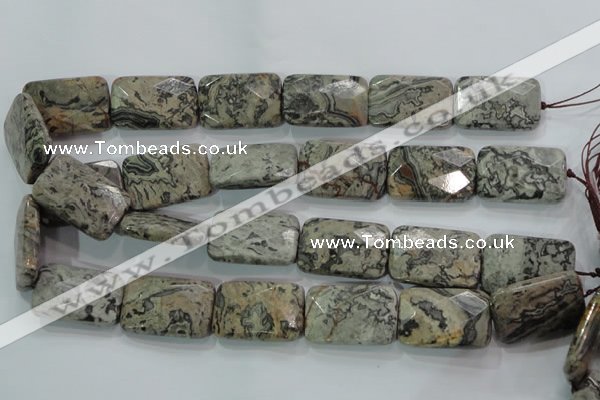 CPT131 15.5 inches 20*30mm faceted rectangle grey picture jasper beads