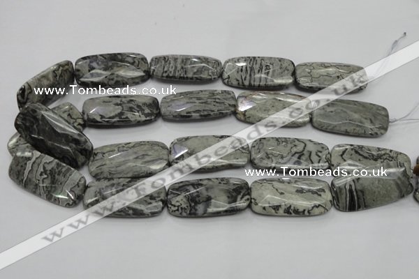 CPT132 15.5 inches 20*40mm faceted rectangle grey picture jasper beads