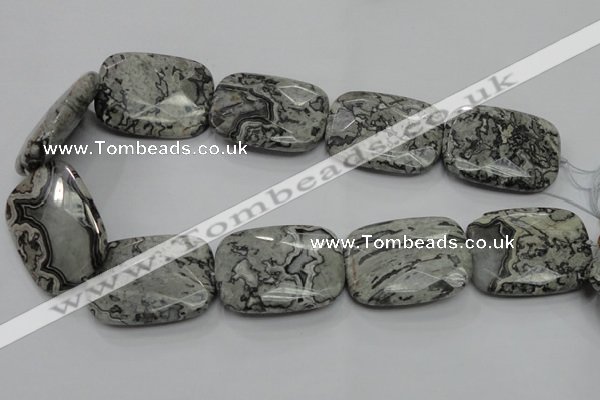 CPT133 15.5 inches 30*40mm faceted rectangle grey picture jasper beads