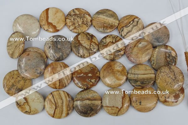 CPT260 15.5 inches 30mm flat round picture jasper beads wholesale