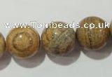 CPT458 15.5 inches 20mm round picture jasper beads wholesale