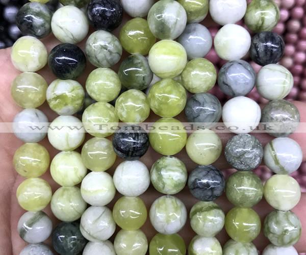 CQJ303 15 inches 10mm round Qinghua jade beads wholesale