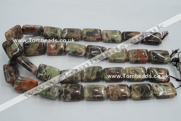 CRA22 15.5 inches 18*25mm rectangle natural rainforest agate beads