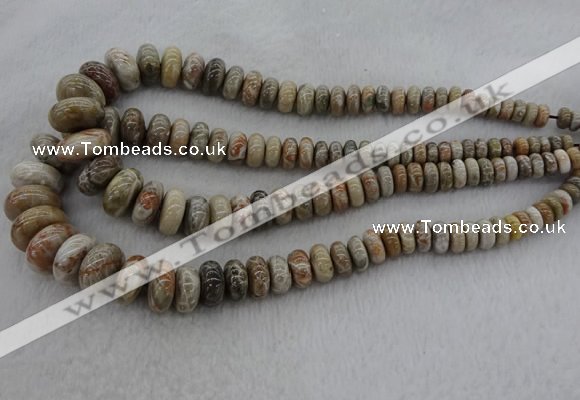 CRB1109 15.5 inches 5*8mm - 9*18mm rondelle chrysanthemum agate beads