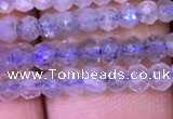 CRB1980 15.5 inches 3*4mm faceted rondelle labradorite beads