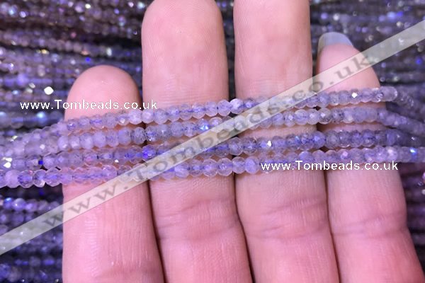 CRB1980 15.5 inches 3*4mm faceted rondelle labradorite beads