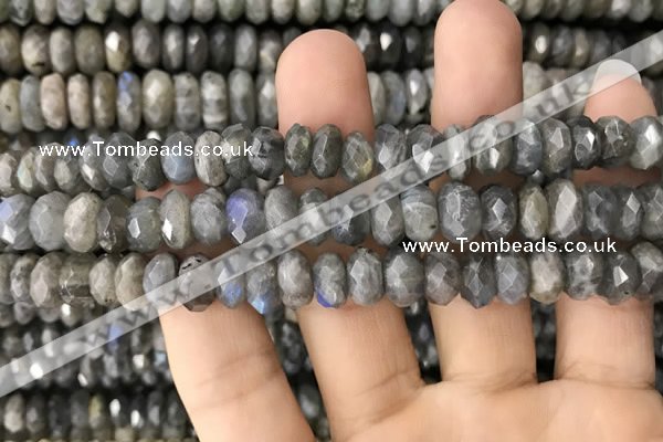 CRB3050 15.5 inches 6*10mm faceted rondelle labradorite beads