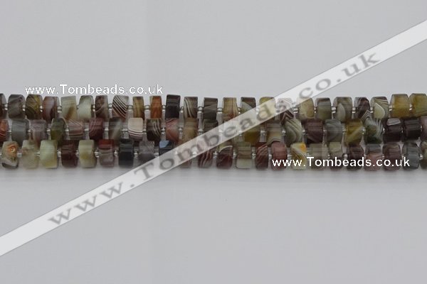 CRB493 15.5 inches 5*8mm tyre botswana agate beads wholesale