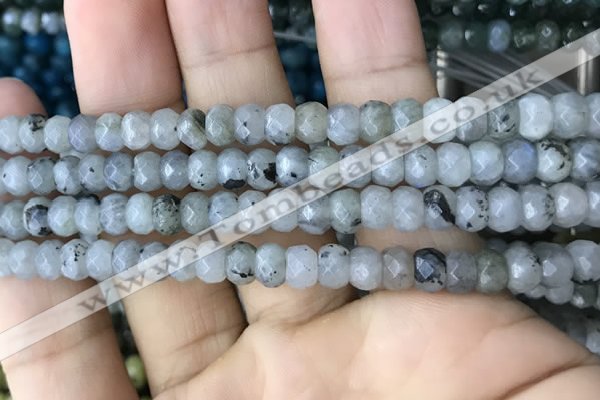 CRB5118 15.5 inches 4*6mm faceted rondelle labradorite beads