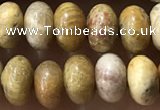 CRB5321 15.5 inches 4*6mm rondelle fossil coral beads wholesale