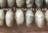 CRB5336 15.5 inches 5*8mm rondelle fossil coral beads wholesale