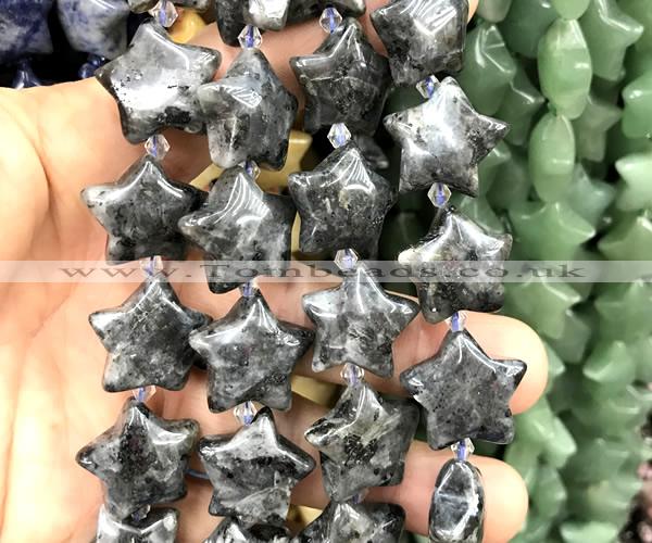 CRG104 15 inches 20mm star black labradorite beads wholesale