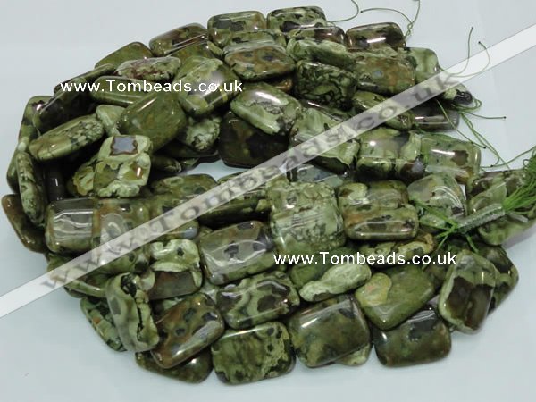 CRH28 15.5 inches 22*30mm rectangle rhyolite beads wholesale