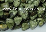 CRH30 15.5 inches 10*10mm triangle rhyolite beads wholesale