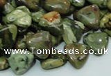 CRH31 15.5 inches 12*12mm triangle rhyolite beads wholesale