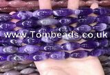 CRI302 15.5 inches 10*25mm rice dogtooth amethyst beads wholesale