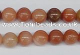 CRJ202 15.5 inches 10mm round natural red jade gemstone beads