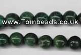 CRJ303 15.5 inches 10mm round African prase jasper beads wholesale