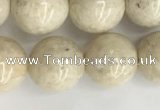 CRJ623 15.5 inches 10mm round white fossil jasper beads wholesale