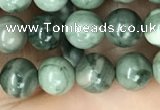 CRM201 15.5 inches 6mm round green mud jasper beads wholesale