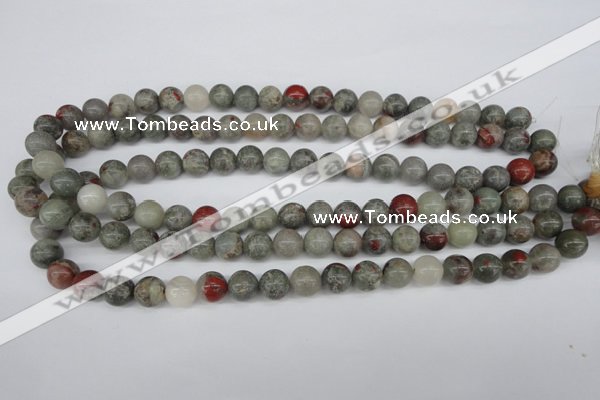 CRO190 15.5 inches 10mm round bloodstone beads wholesale