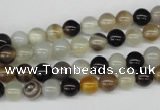 CRO23 15.5 inches 6mm round agate gemstone beads wholesale