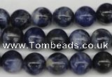 CRO239 15.5 inches 10mm round sodalite gemstone beads wholesale