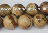 CRO450 15.5 inches 16mm round picture jasper beads wholesale