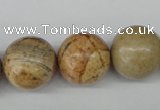 CRO485 15.5 inches 18mm round picture jasper beads wholesale