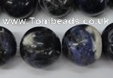 CRO488 15.5 inches 18mm round sodalite gemstone beads wholesale