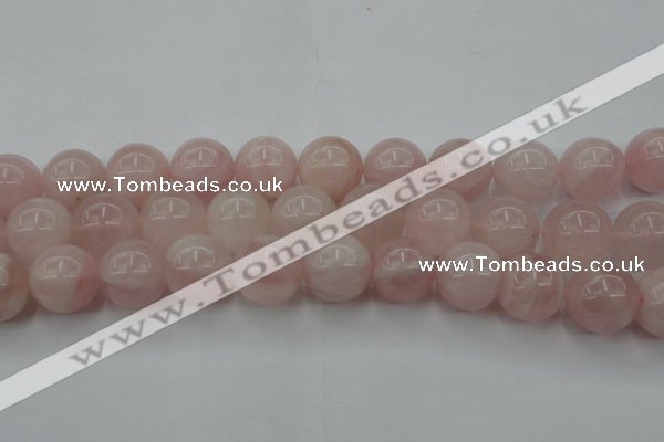 CRQ675 15.5 inches 16mm round rose quartz beads wholesale