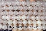 CRQ925 15 inches 10mm round natural rose quartz beads wholesale