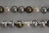 CSB1031 15.5 inches 8mm round mixed color shell pearl beads