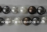 CSB1054 15.5 inches 10mm round mixed color shell pearl beads