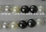 CSB1056 15.5 inches 10mm round mixed color shell pearl beads