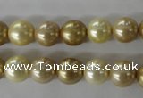 CSB1069 15.5 inches 10mm round mixed color shell pearl beads