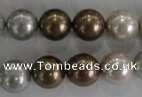 CSB1091 15.5 inches 12mm round mixed color shell pearl beads