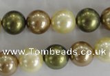 CSB1106 15.5 inches 12mm round mixed color shell pearl beads