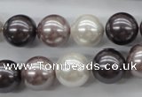 CSB1123 15.5 inches 14mm round mixed color shell pearl beads