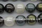 CSB1125 15.5 inches 14mm round mixed color shell pearl beads