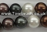 CSB1127 15.5 inches 14mm round mixed color shell pearl beads