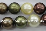 CSB1128 15.5 inches 14mm round mixed color shell pearl beads