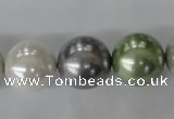 CSB1153 15.5 inches 16mm round mixed color shell pearl beads