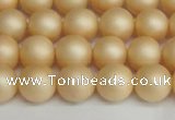 CSB1378 15.5 inches 10mm matte round shell pearl beads wholesale