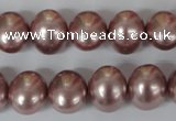 CSB139 15.5 inches 12*15mm – 13*16mm oval shell pearl beads