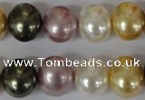 CSB156 15.5 inches 12*15mm – 13*16mm oval mixed color shell pearl beads