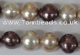 CSB157 15.5 inches 12*15mm – 13*16mm oval mixed color shell pearl beads