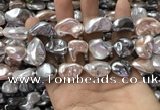 CSB2175 15.5 inches 16*16mm - 20*22mm baroque mixed shell pearl beads