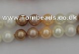 CSB308 15.5 inches 8mm round mixed color shell pearl beads